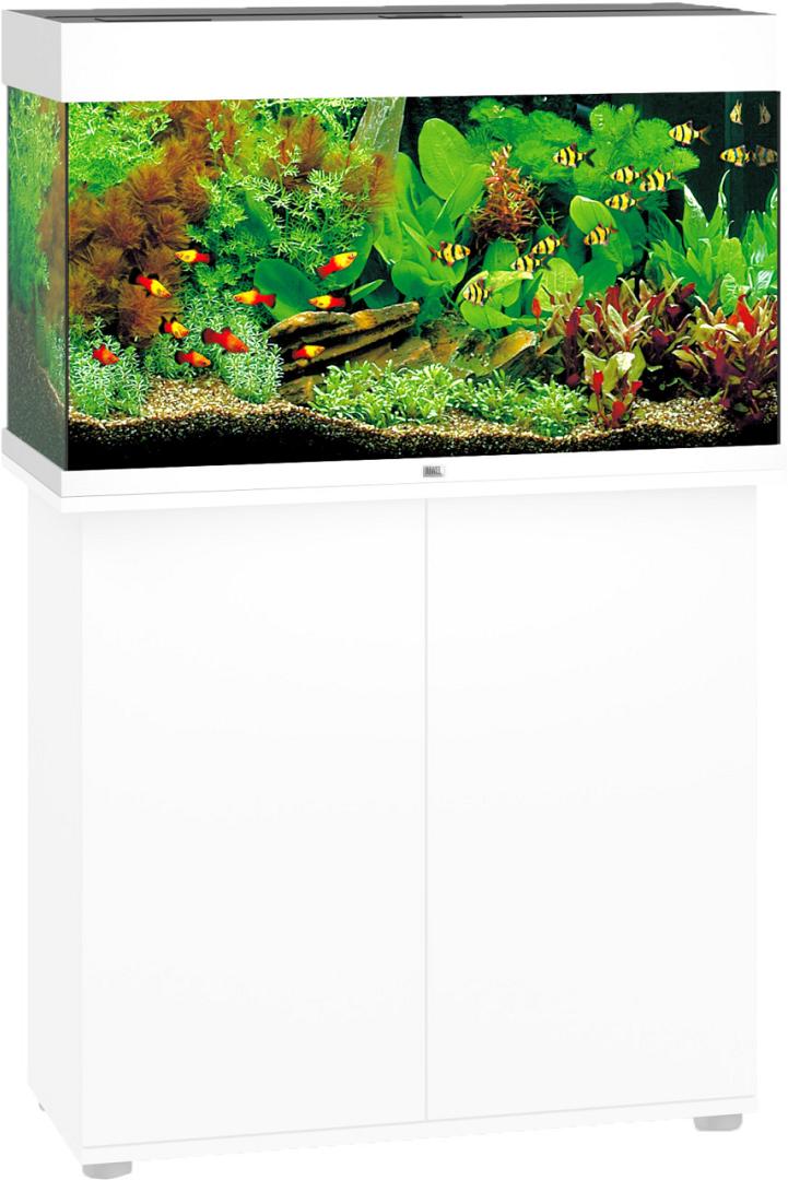 last staart pil Juwel aquarium Rio 125 LED wit | Dierenwereld XL