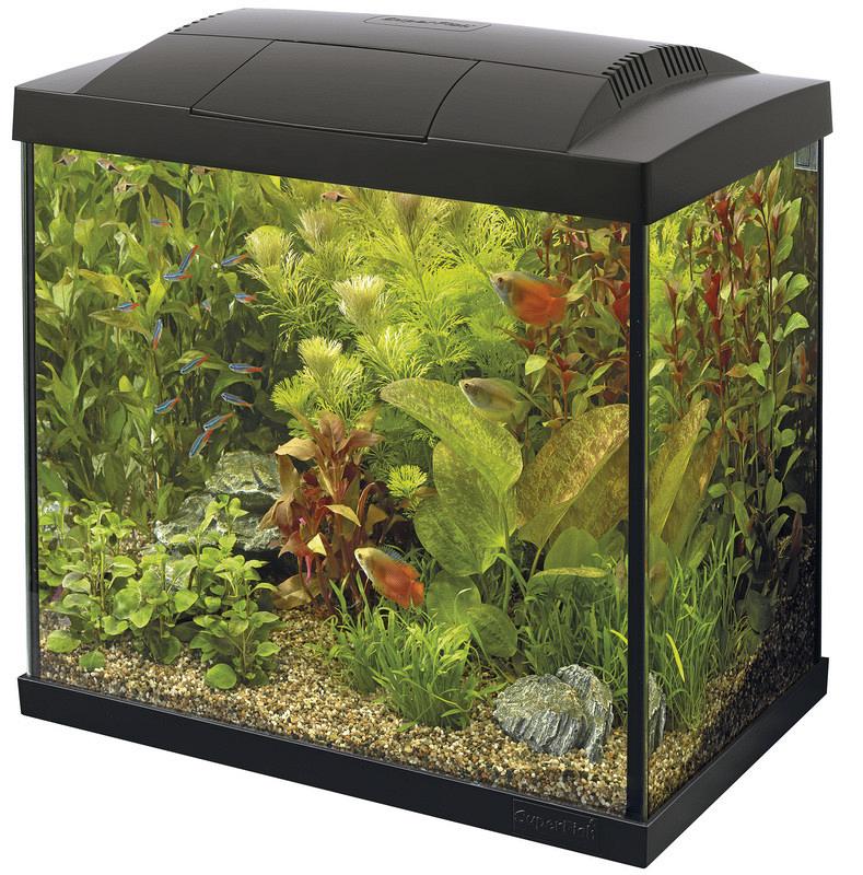 Verandert in Het pad criticus SuperFish aquarium Start 50 Tropical kit zwart | Dierenwereld XL