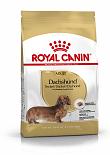 Royal Canin hondenvoer Dachshund Adult 1,5 kg