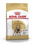 Royal Canin hondenvoer French Bulldog Adult 3 kg