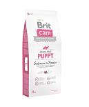 Brit Care Grain Free Puppy Salmon & Potato 12 kg