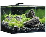 Dennerle Nano Scapers Tank Basic LED 55 ltr