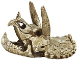 SuperFish Skull Triceratops M