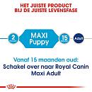 Royal Canin hondenvoer Maxi Puppy 4 kg