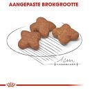 Royal Canin hondenvoer Mini Adult 8+ 4 kg
