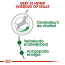 Royal Canin hondenvoer Mini Adult 8+ 4 kg