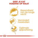 Royal Canin kattenvoer Persian Adult 10 kg