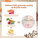 Wellness CORE kattenvoer Ocean <br>300 gr