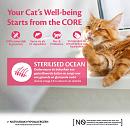 Wellness CORE kattenvoer Sterilised zalm 300 gr