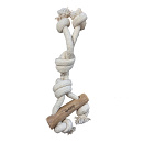 Quapas! Coffeewood Canape