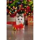 Beeztees Kattenspeelgoed Kerstbel met Veer Rood