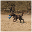 Beeztees Fetch Foam Frisbee Gisa Blauw