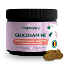 Dogsuppy Glucosamine 60 st