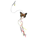 Kong Teaser Butterfly Assorti