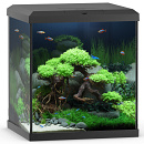 Juwel Aquarium Vio Cube 54 met Filter Zwart
