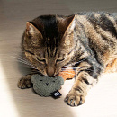 D&D Kattenspeelgoed Hazel Assorti