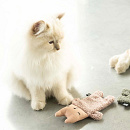 D&D Kattenspeelgoed Alfie Roze XL