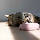 D&D Kattenspeelgoed Maple Groen S