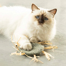 D&D Kattenspeelgoed Milly Groen