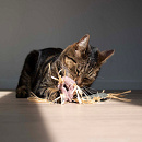 D&D Kattenspeelgoed Milly Roze