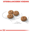 Royal Canin Hondenvoer Sterilised Mini 3 kg