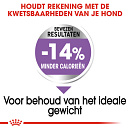 Royal Canin Hondenvoer Sterilised Mini 3 kg