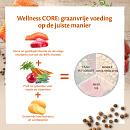 Wellness CORE kattenvoer Ocean <br>300 gr