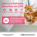 Wellness CORE kattenvoer Sterilised zalm 1,75 kg