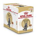 Royal Canin kattenvoer British Shorthair Adult 12 x 85 gr