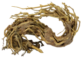 SuperFish Bonsai Wave S