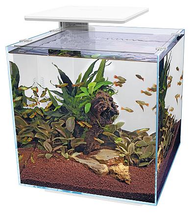 SuperFish aquarium Qubiq 60 Pro wit