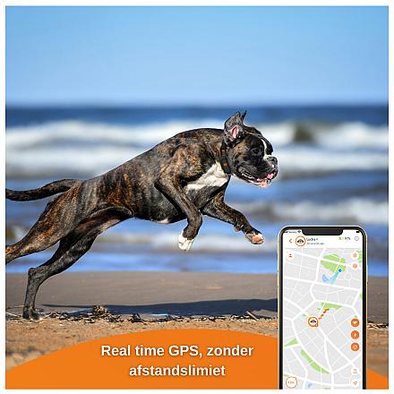 Weenect XS GPS Tracker Dogs Black