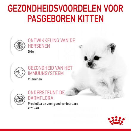 Royal Canin kattenvoer Babycat Milk 300 gr