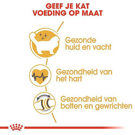 Royal Canin kattenvoer Ragdoll Adult 2 kg