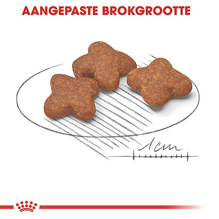 Royal Canin hondenvoer Mini Adult 8+ 4 kg
