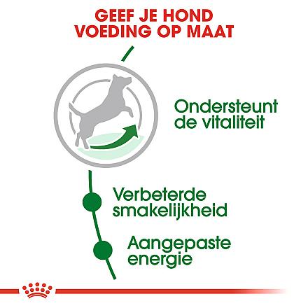 Royal Canin hondenvoer Mini Adult 8+ 4 kg