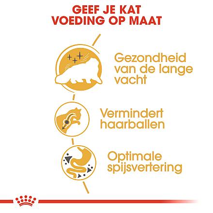 Royal Canin kattenvoer Persian Adult 10 kg
