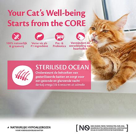 Wellness CORE kattenvoer Sterilised zalm 300 gr