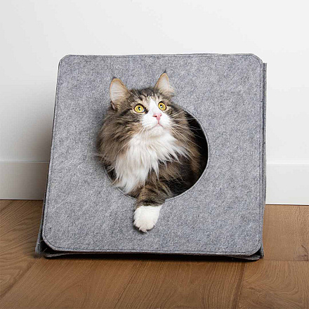 D&D I Love Happy Cats Speelhuisje Alan Grijs