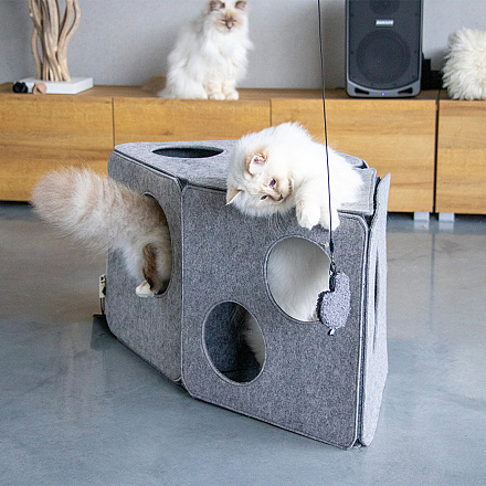 D&D I Love Happy Cats Speelhuisje Alan Grijs