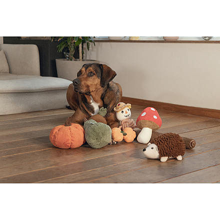 Beeztees Hondenspeelgoed Paddestoel Toad