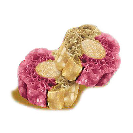 Knash Woofa Loofa Bites Vital Blueberry & Beetroot 100 gr