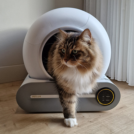 Petlux Automatische Kattenbak V2 met App