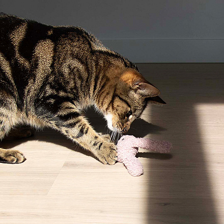 D&D Kattenspeelgoed Clover Assorti