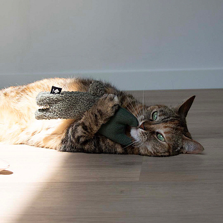 D&D Kattenspeelgoed Alfie Groen XL