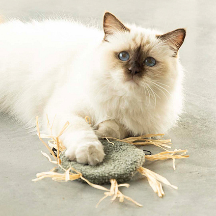 D&D Kattenspeelgoed Milly Groen