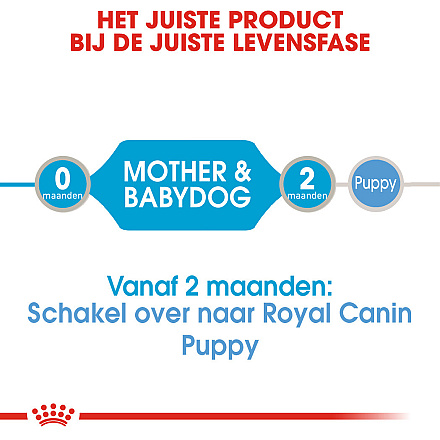 Royal Canin hondenvoer Starter Mousse 12 x 195 gr