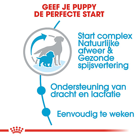 Royal Canin Hondenvoer Medium Starter 4 kg