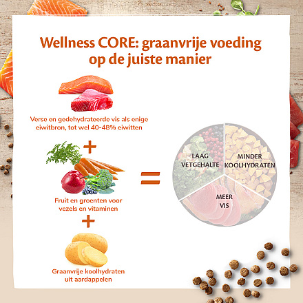 Wellness CORE kattenvoer Ocean <br>300 gr