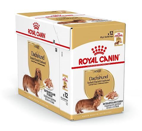 Royal Canin hondenvoer Dachs-hund Adult 12 x 85 gr